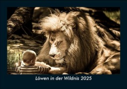 Cover-Bild zum Titel 'Löwen in der Wildnis 2025 Fotokalender DIN A5' von 'Tobias Becker'