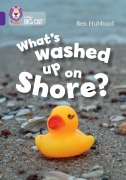 Cover-Bild zum Titel 'What's washed up on shore?' von 'Ben Hubbard'