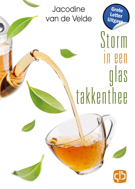 Storm in een glas takkenthee - Jacodine Velde van de