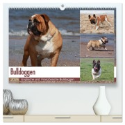 Cover-Bild zum Titel 'Bulldoggen - Englische und Französische Bulldoggen (hochwertiger Premium Wandkalender 2026 DIN A2 quer), Kunstdruck in Hochglanz' von 'Chawera Chawera'