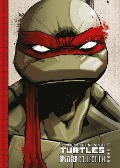 Teenage Mutant Ninja Turtles Splitter Collection 01 - Kevin Eastman, Tom Waltz, Brian Lynch, Erik Burnham, Matthias Penkert-Hennig