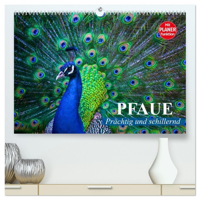 Pfaue. Prächtig und schillernd (hochwertiger Premium Wandkalender 2026 DIN A2 quer), Kunstdruck in Hochglanz - Elisabeth Stanzer