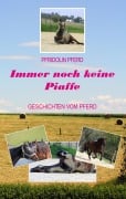 Cover-Bild zum Titel 'Immer noch keine Piaffe' von 'Pfridolin Pferd'