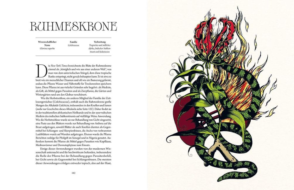 InsideView 4