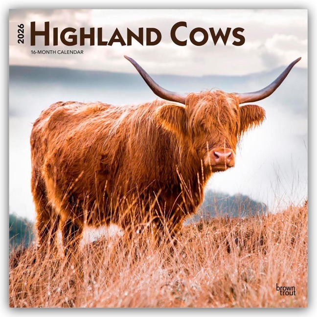 Highland Cows - Hochlandrinder 2026 - 16-Monatskalender - Browntrout Publishers