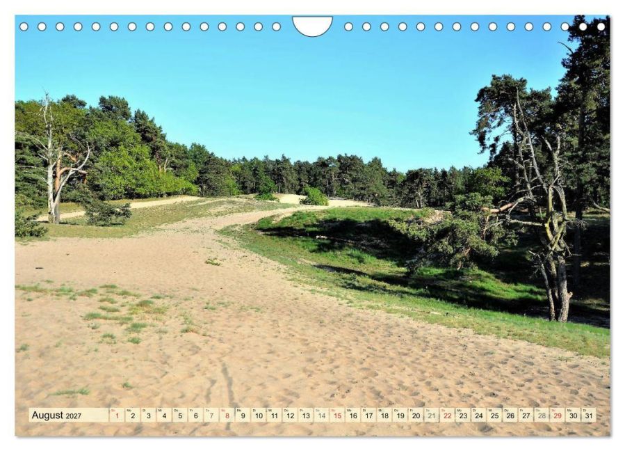 InsideView 13