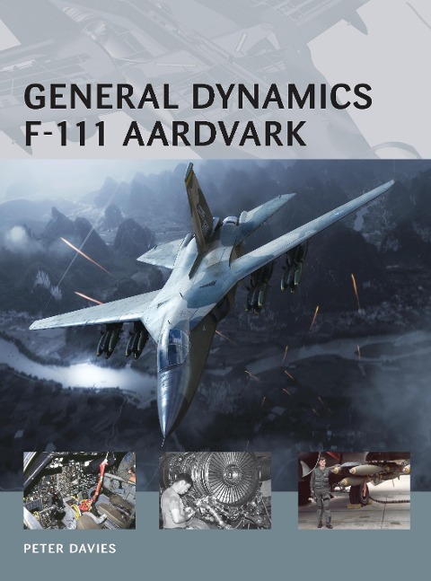 General Dynamics F-111 Aardvark - Peter E Davies