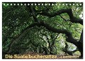 Die Süntelbuchenallee von Bad Nenndorf (Tischkalender 2024 DIN A5 quer), CALVENDO Monatskalender - Bernhard Loewa