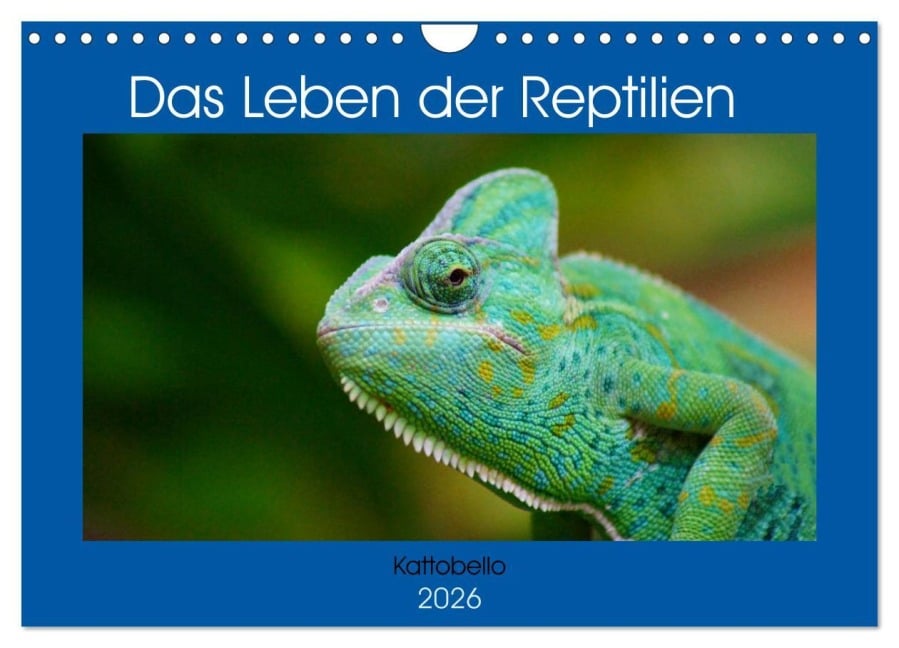 Das Leben der Reptilien (Wandkalender 2026 DIN A4 quer), CALVENDO Monatskalender - Kattobello Kattobello