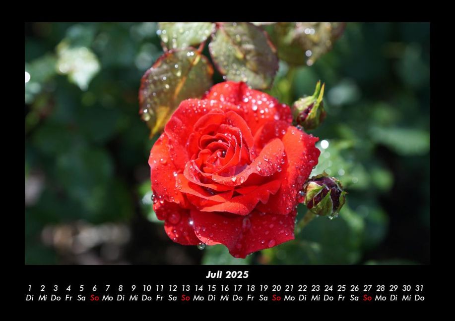 InsideView 11
