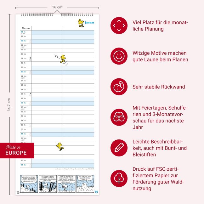 InsideView 13