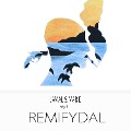 Cover-Bild zum Titel 'Remifydal, Folge 1' von 'Felix Popis'