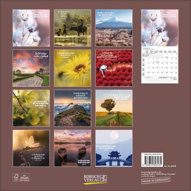 InsideView 13