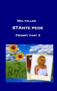 Cover-Bild zum Titel 'Stante Pede' von 'Mel Feller'