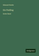 Cover-Bild zum Titel 'Ein Findling' von 'Edmund Hoefer'