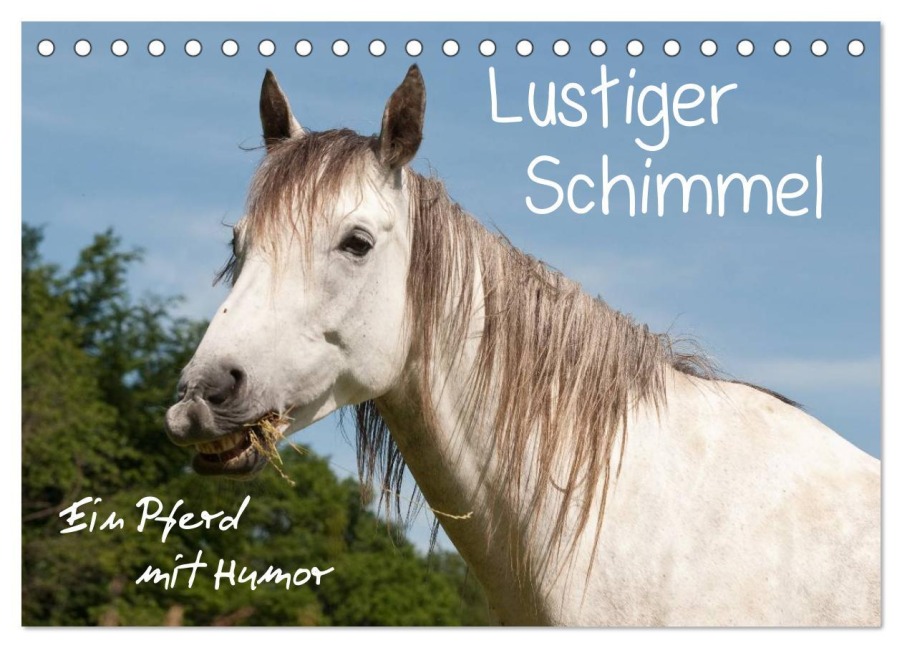 Lustiger Schimmel - ein Pferd mit Humor (Tischkalender 2026 DIN A5 quer), CALVENDO Monatskalender - Meike Bölts