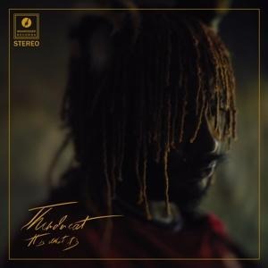 It Is What It Is - Thundercat