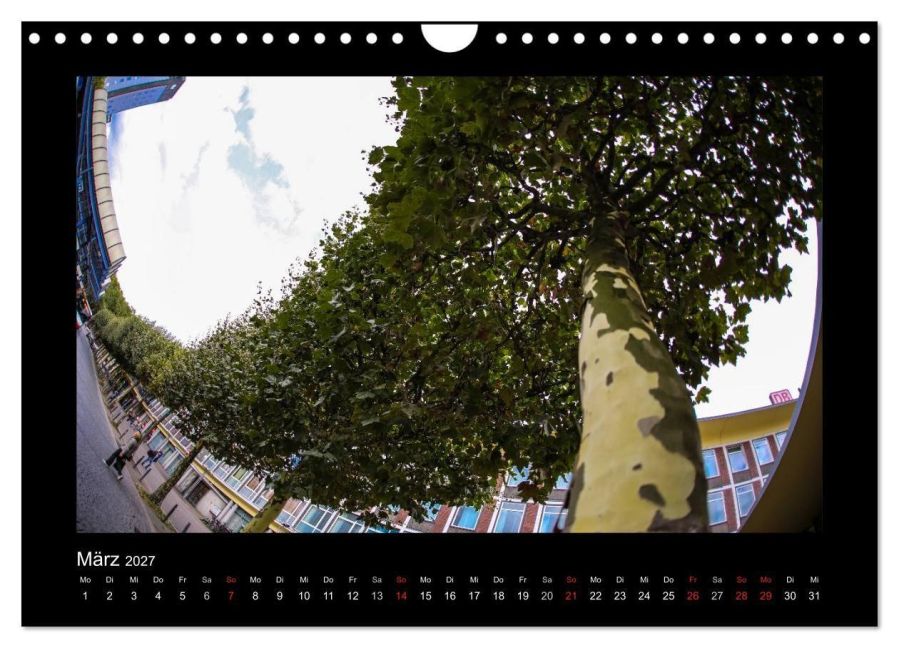 InsideView 8