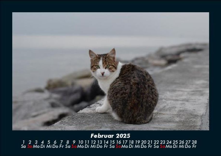 InsideView 6