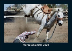 Cover-Bild zum Titel 'Pferde Kalender 2026 Fotokalender DIN A5' von 'Tobias Becker'