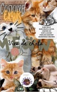 Cover-Bild zum Titel 'Vies de chats' von 'Marie Hélène Le Mouel, Fanny Le Rouhet, Christine Ode, Marie Gellan, Stephanie Desbonnet'