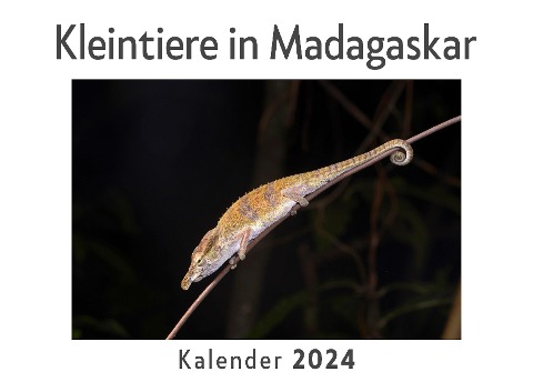 Kleintiere in Madagaskar (Wandkalender 2024, Kalender DIN A4 quer, Monatskalender im Querformat mit Kalendarium, Das perfekte Geschenk) - Anna Müller