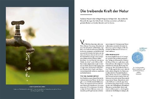 InsideView 5