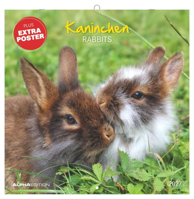 Kaninchen 2027 - 