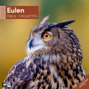 Cover-Bild zum Titel 'Eulen Broschürenkalender 2026 - 30x30 - Art12' von ''