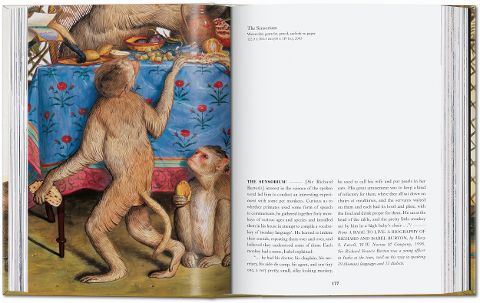 InsideView 5