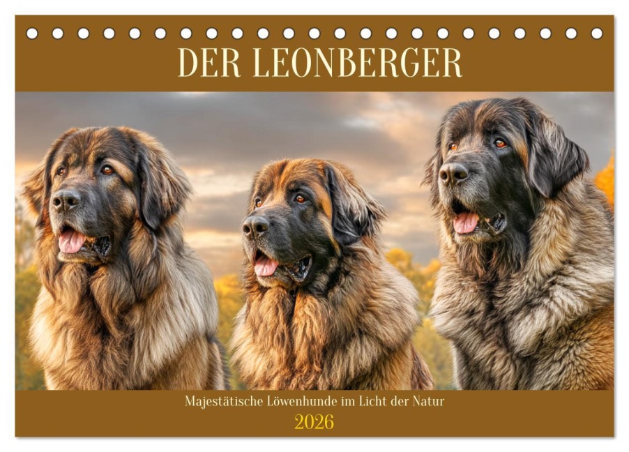 Der Leonberger. Majestätische Löwenhunde im Licht der Natur (Tischkalender 2026 DIN A5 quer), CALVENDO Monatskalender - Rose Hurley