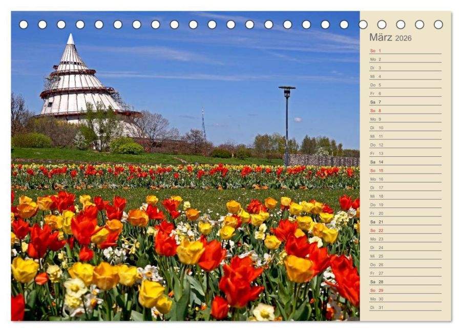 InsideView 8