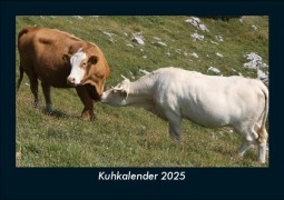 Cover-Bild zum Titel 'Kuhkalender 2025 Fotokalender DIN A5' von 'Tobias Becker'