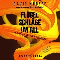 Cover-Bild zum Titel 'Flügelschläge im All' von 'David Knospe'