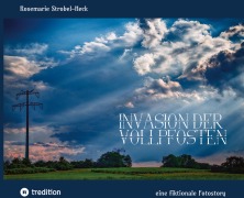 Cover-Bild zum Titel 'Invasion der Vollpfosten' von 'Rosemarie Strobel-Heck'
