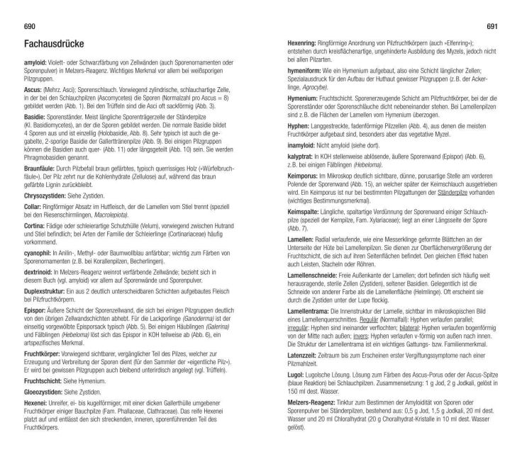 InsideView 8