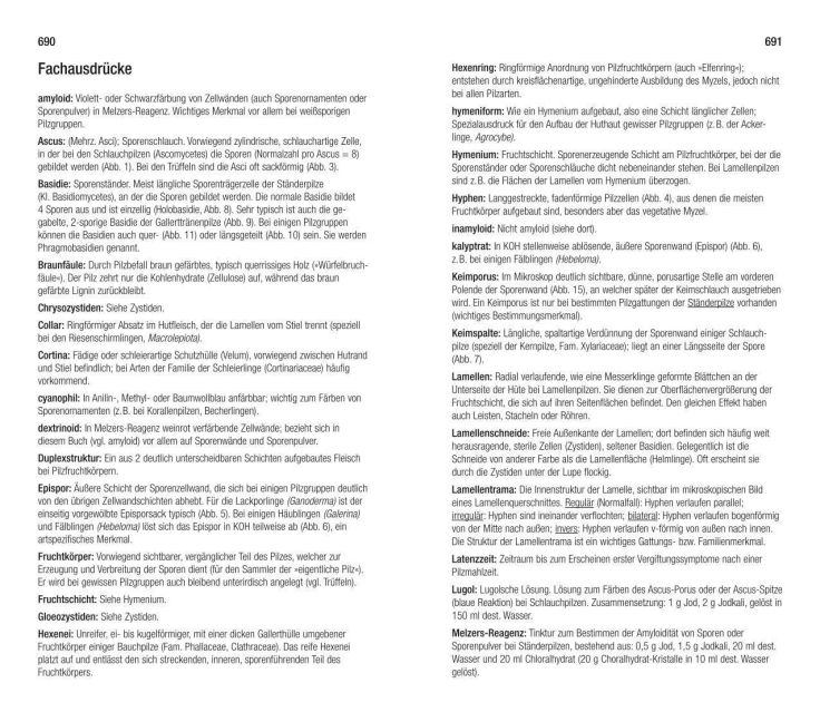 InsideView 8