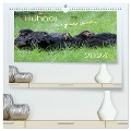 Hühner im eigenen Garten (hochwertiger Premium Wandkalender 2024 DIN A2 quer), Kunstdruck in Hochglanz - Nicole Stephan