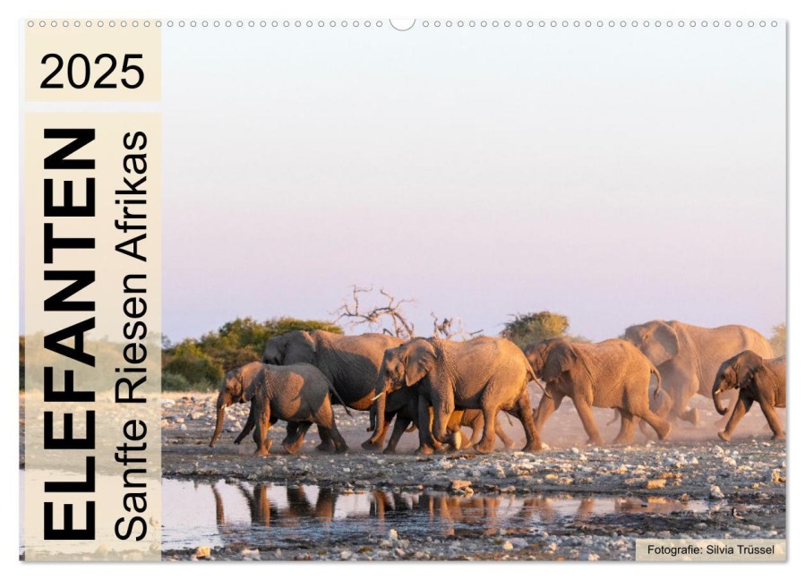 Elefanten - Sanfte Riesen Afrikas (Wandkalender 2025 DIN A2 quer), CALVENDO Monatskalender - Silvia Trüssel