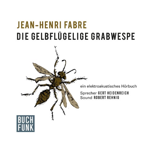 Die gelbflügelige Grabwespe - Jean-Henri Fabre, Robert Rehnig