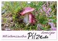 Mit interessanten Pilzen durchs Jahr (Wandkalender 2024 DIN A4 quer), CALVENDO Monatskalender - LianeM LianeM