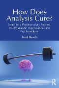 Cover-Bild zum Titel 'How Does Analysis Cure?' von 'Fred Busch'