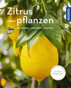 Cover-Bild zum Titel 'Zitruspflanzen (Mein Garten)' von 'Dominik Große Holtforth'