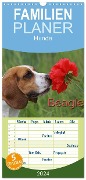 Familienplaner 2024 - Beagle mit 5 Spalten (Wandkalender, 21 x 45 cm) CALVENDO - Pferdografen. De Antje Lindert-Rottke Martina Berg