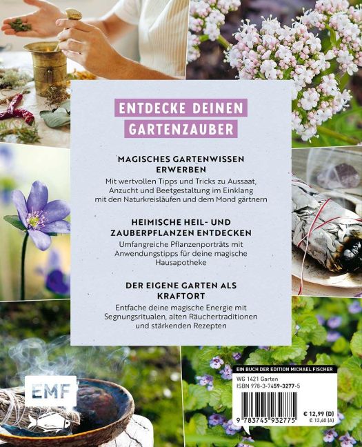InsideView 6