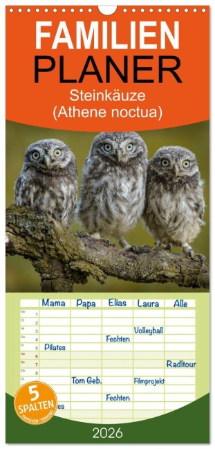 Familienplaner 2026 - Steinkäuze (Athene noctua) mit 5 Spalten (Wandkalender, 21 x 45 cm) CALVENDO - Winfried Rusch