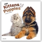 Kittens & Puppies - Kätzchen & Welpen 2026 - 16-Monatskalender - Browntrout Publishers