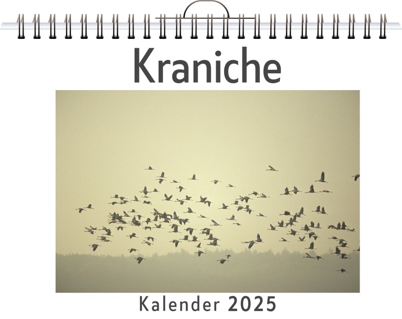 Kraniche - Lucy Möller