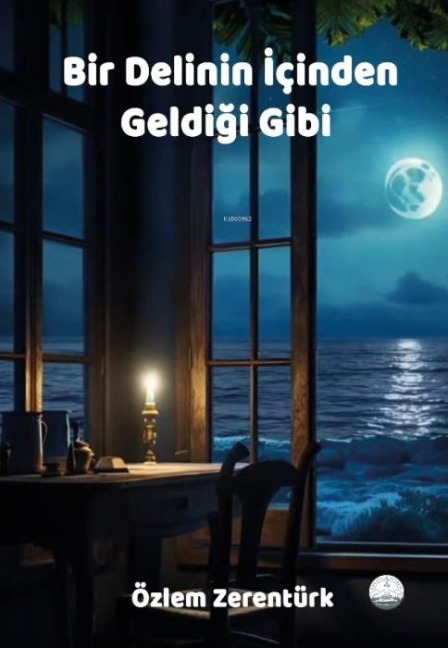 Bir Delinin Icinden Geldigi Gibi - Özlem Zerentürk