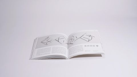 InsideView 8